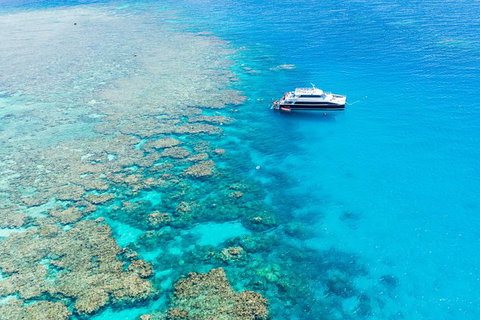 Great Barrier Reef Tour With Indigenous Sea Rangers-Dreamtime Dive And Snorkel - Tweed Heads Accommodation 3
