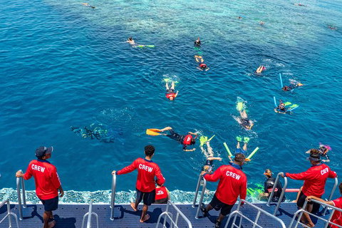 Great Barrier Reef Tour With Indigenous Sea Rangers-Dreamtime Dive And Snorkel - Tweed Heads Accommodation 2