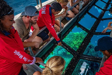 Great Barrier Reef Tour With Indigenous Sea Rangers-Dreamtime Dive And Snorkel - Tweed Heads Accommodation 6