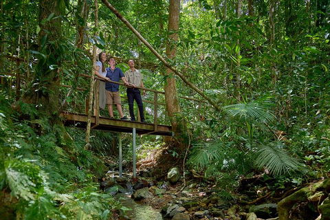 Daintree And Cape Tribulation Tour From Cairns - Tweed Heads Accommodation 3