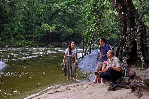 Daintree And Cape Tribulation Tour From Cairns - Tweed Heads Accommodation 2