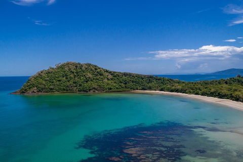 Daintree And Cape Tribulation Tour From Cairns - Tweed Heads Accommodation 7