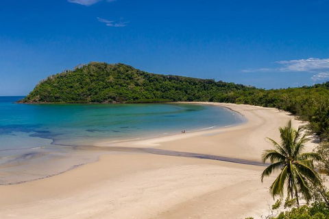 Daintree And Cape Tribulation Tour From Cairns - Tweed Heads Accommodation 8