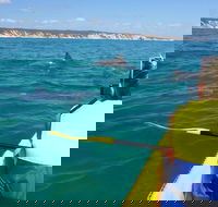 Kayak with Dolphins and 4WD Great Beach Drive Day Trip from Noosa - Tweed Heads Accommodation