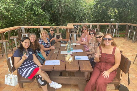 Deluxe Wine Tasting Tour Mt Tamborine Includes 2 Course Lunch - Tweed Heads Accommodation 12