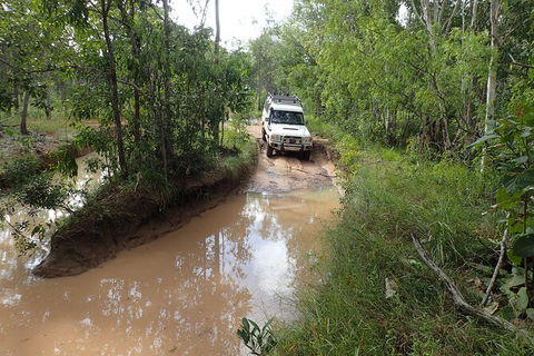 Cairns 4WD Waterfall And Rainforest Tour Including Kuranda Scenic Railway - Tweed Heads Accommodation 3