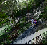 4-Day Cairns with Great Barrier Reef and Daintree Rainforest - Tweed Heads Accommodation