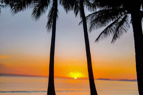 Airport Transfers Between Cairns Airport And Palm Cove - Tweed Heads Accommodation 4