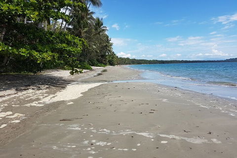 Airport Transfers Between Cairns Airport And Palm Cove - Tweed Heads Accommodation 2