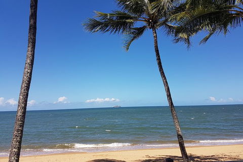 Airport Transfers Between Cairns Airport And Palm Cove - Tweed Heads Accommodation 8