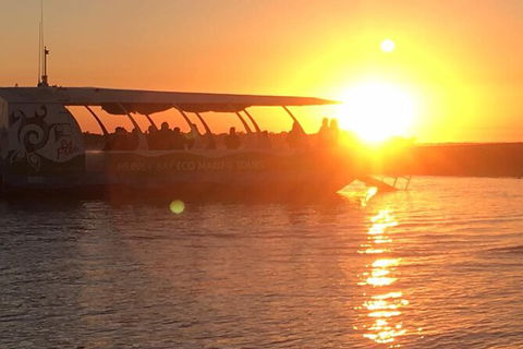 Milbi Sunset Cruise With Local Aboriginal Guide - Tweed Heads Accommodation 3