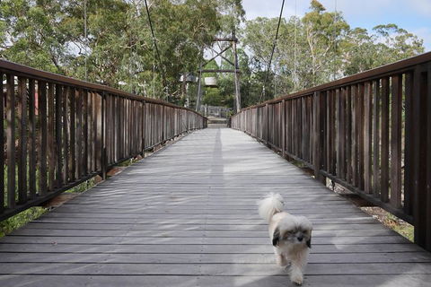 Entry Ticket At Historic Village Herberton - Tweed Heads Accommodation 29