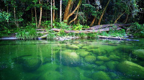 Cairns Adventure Package- 4 Tours In 3 Days! - Tweed Heads Accommodation 6