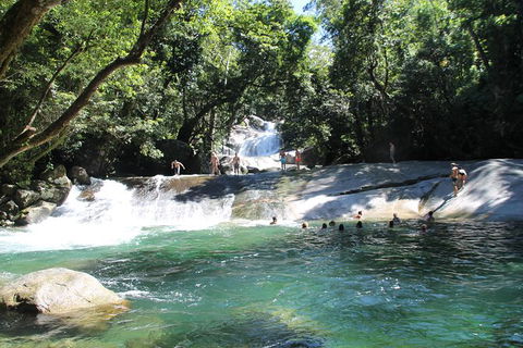 Cairns Adventure Package- 4 Tours In 3 Days! - Tweed Heads Accommodation 7