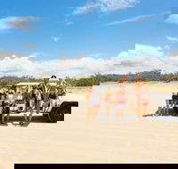 Dingos 2 Day Fraser Island 4x4 Tag Along - Tweed Heads Accommodation