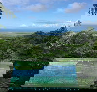 Daintree Luxury Limousine Tour - Full Day - Tweed Heads Accommodation