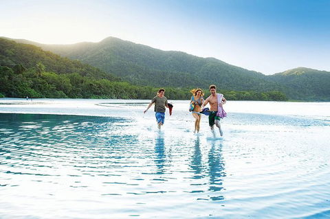 SHUTTLE - CAIRNS AIRPORT TO PORT DOUGLAS (or Reverse) - Tweed Heads Accommodation 1