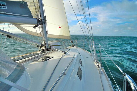 Sailing Curlew Escape On Moreton Bay - Tweed Heads Accommodation 7