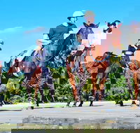 Mid-Morning Beach Horse Ride in Cape Tribulation with Pick Up - Tweed Heads Accommodation