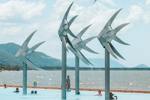 Cairns Airport Private Chater Transfer - Tweed Heads Accommodation 4