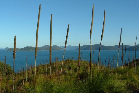 7-Day Private Sea Kayaking In Whitsundays - Tweed Heads Accommodation 8