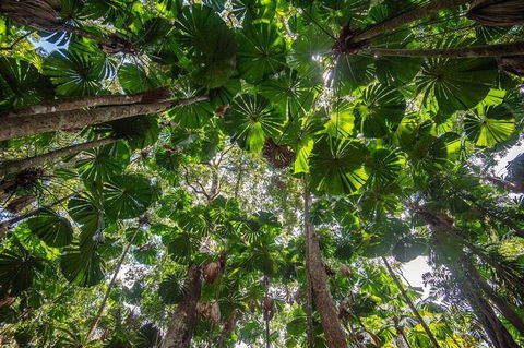 5 Day Australia Retreat: Queensland Daintree - Tweed Heads Accommodation 4