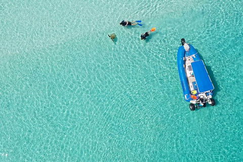 Remote Fraser Island & Whale Experience - Tweed Heads Accommodation 0