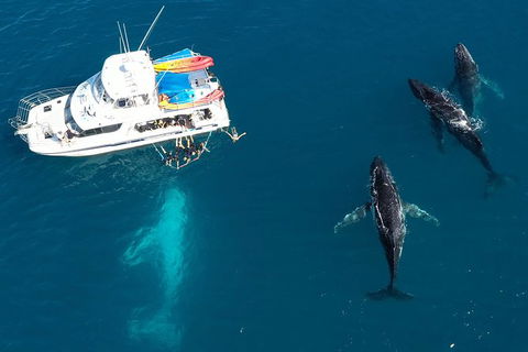 Remote Fraser Island & Whale Experience - Tweed Heads Accommodation 3