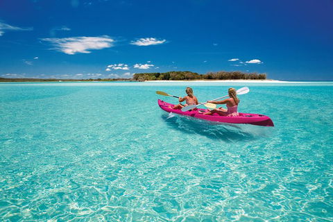 Remote Fraser Island & Whale Experience - Tweed Heads Accommodation 5