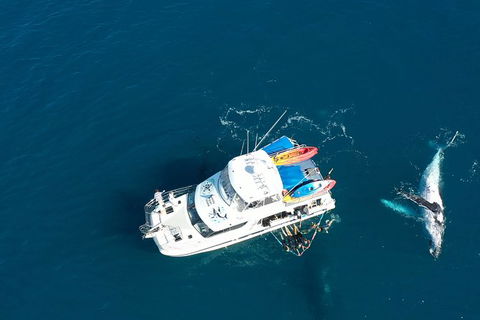 Remote Fraser Island & Whale Experience - Tweed Heads Accommodation 1