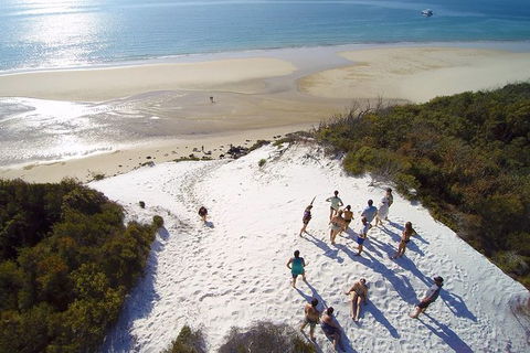 Remote Fraser Island & Whale Experience - Tweed Heads Accommodation 2