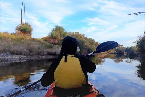 Kangaroo Island Self-Guided Kayaking On The Harriet River - Tweed Heads Accommodation 3