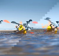 Kangaroo Island Self-Guided Kayaking on the Harriet River - Tweed Heads Accommodation