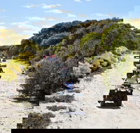 Quad Bike ATV Tours - Tweed Heads Accommodation