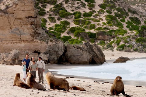 Kangaroo Island Scenic Trail Tour - Tweed Heads Accommodation 1