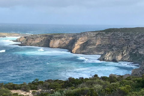 Kangaroo Island Scenic Trail Tour - Tweed Heads Accommodation 4