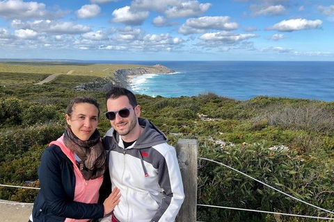 NEW TOUR - Flinders Chase Tour (Recovering From Fires) - Tweed Heads Accommodation 3