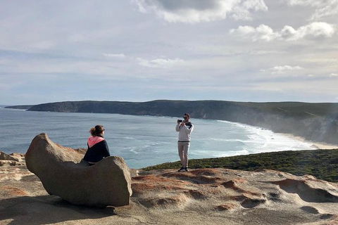 NEW TOUR - Flinders Chase Tour (Recovering From Fires) - Tweed Heads Accommodation 5