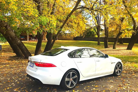 Luxury Jaguar Barossa Valley Half Day Private Tour For 2 - Tweed Heads Accommodation 0