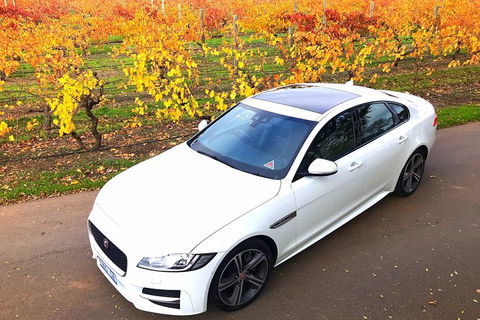 Luxury Jaguar Barossa Valley Half Day Private Tour For 2 - Tweed Heads Accommodation 2