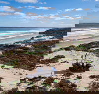 Small-Group Buggy Tour at Little Sahara with Guide - Tweed Heads Accommodation