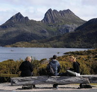 Cruise Ship Special from Burnie to Cradle Mountain - Tweed Heads Accommodation