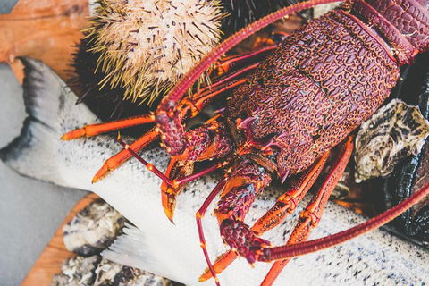 Deep-to-Dish: Tasmanian Seafood Experience - Afternoon Tour - Tweed Heads Accommodation 7