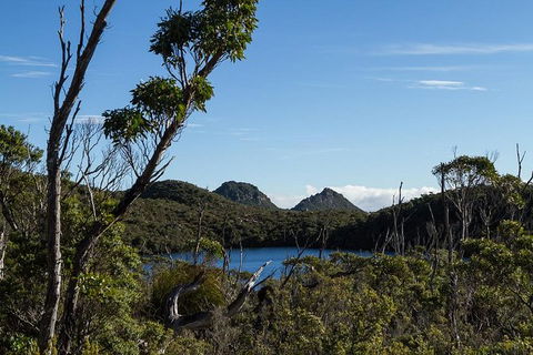 Hartz Mountains Premium Private Photo-oriented Day Tour From Hobart - Tweed Heads Accommodation 1