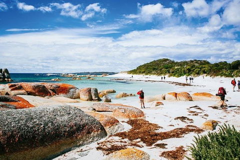 Wineglass Bay Private Charter Service - Tweed Heads Accommodation 2