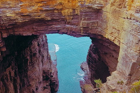 4-Day Fabulous Tasmania Tour: Wineglass Bay, Port Arthur, Devils & Bruny Island - Tweed Heads Accommodation 6