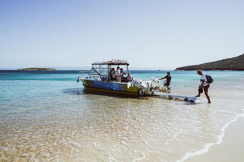 Sea & Explore Wineglass Bay & Freycinet National Park - Cruise & Walk - Tweed Heads Accommodation 3