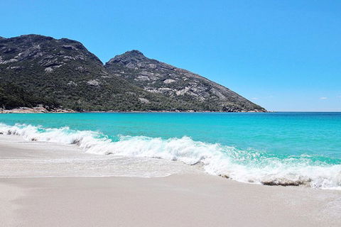 Sea & Explore Wineglass Bay & Freycinet National Park - Cruise & Walk - Tweed Heads Accommodation 4