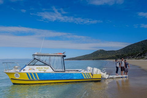 Sea & Explore Wineglass Bay & Freycinet National Park - Cruise & Walk - Tweed Heads Accommodation 7