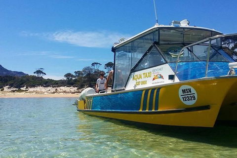 Sea & Explore Wineglass Bay & Freycinet National Park - Cruise & Walk - Tweed Heads Accommodation 1
